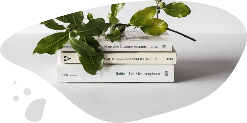 Magora team creates education mobile phone projects