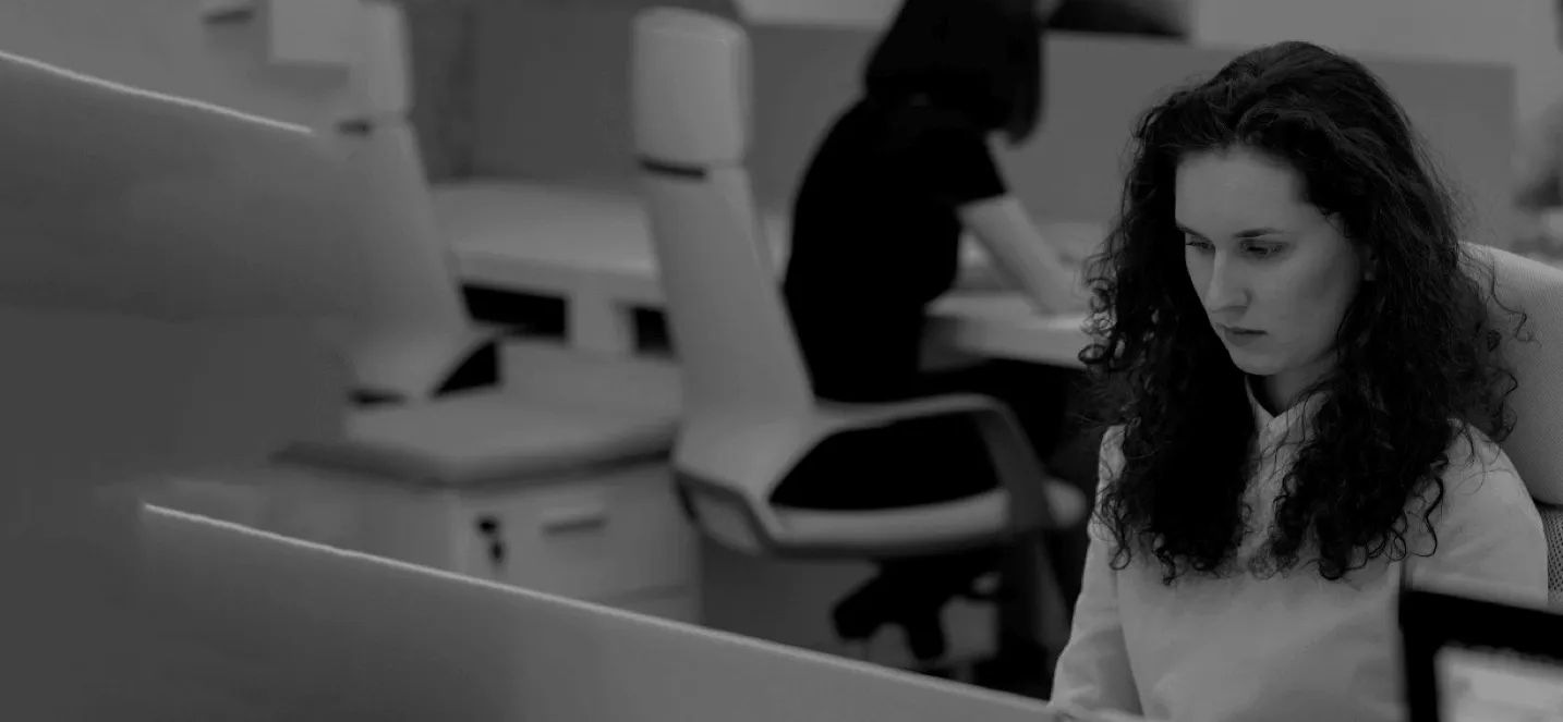 Rapid bespoke BI developmen