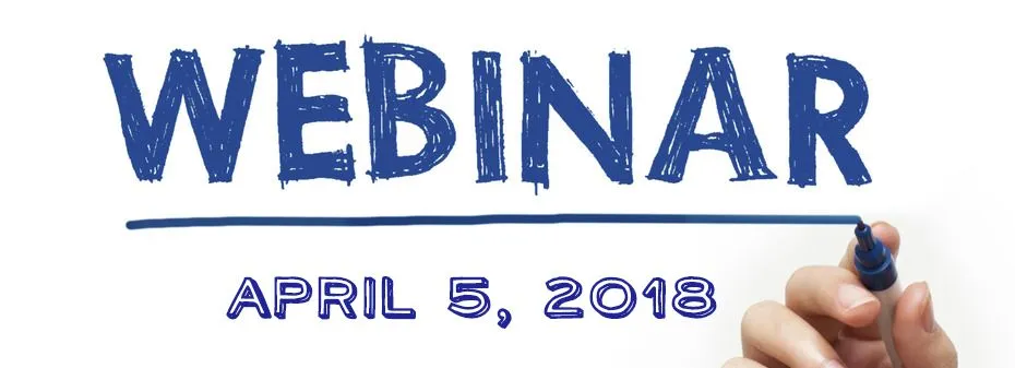 Magora's Webinar: Adjust Software Development for Business