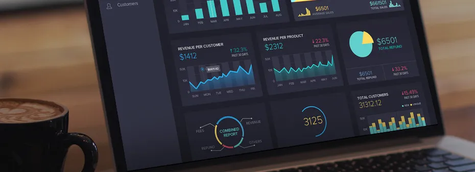 Professional software: UI special aspect