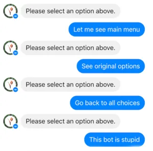 Chatbot errors