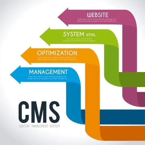 cms solutions for business